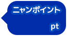 ニャンポイント